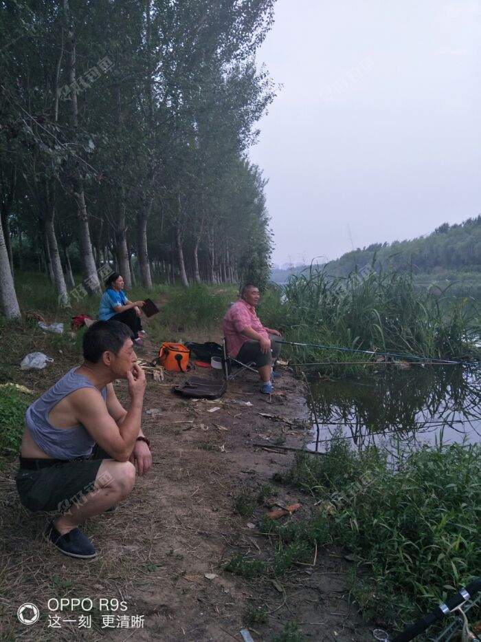 IMG20170811183053.jpeg IMG20170811183053.jpeg
