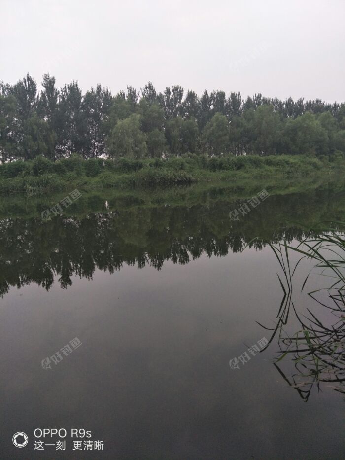 IMG20170811183101.jpeg IMG20170811183101.jpeg
