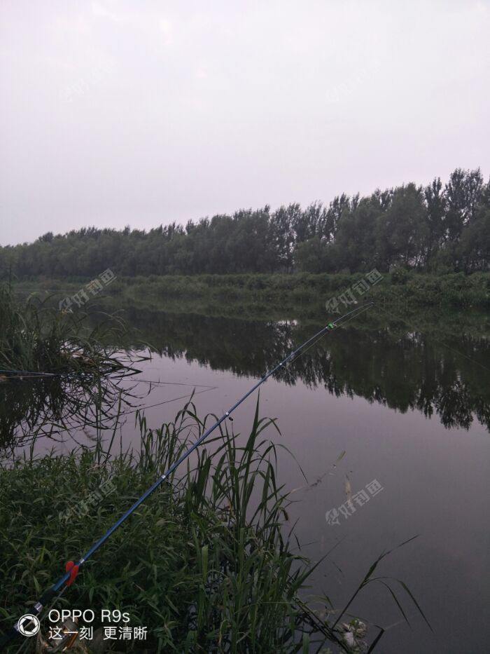 IMG20170811183055.jpeg IMG20170811183055.jpeg