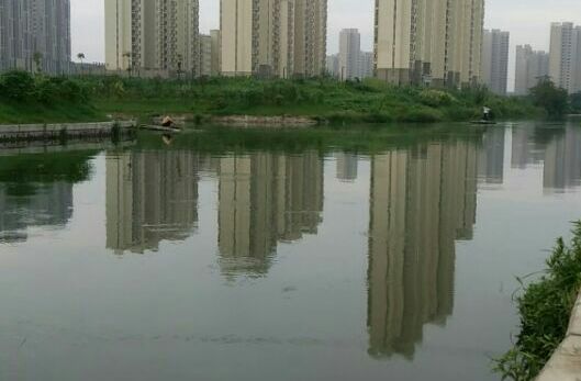 窑里村附近河道