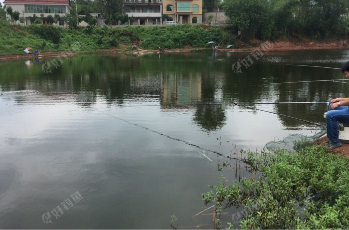 衡阳市珠晖区高屋塘水库