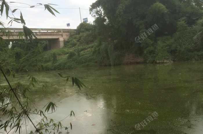 马家乡大唐农业园外