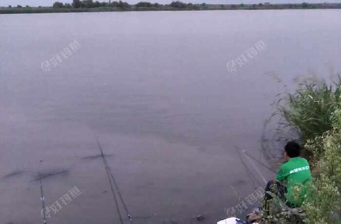 辽河鲁家大桥钓点