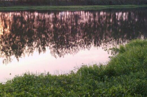 复旦实验中学旁边