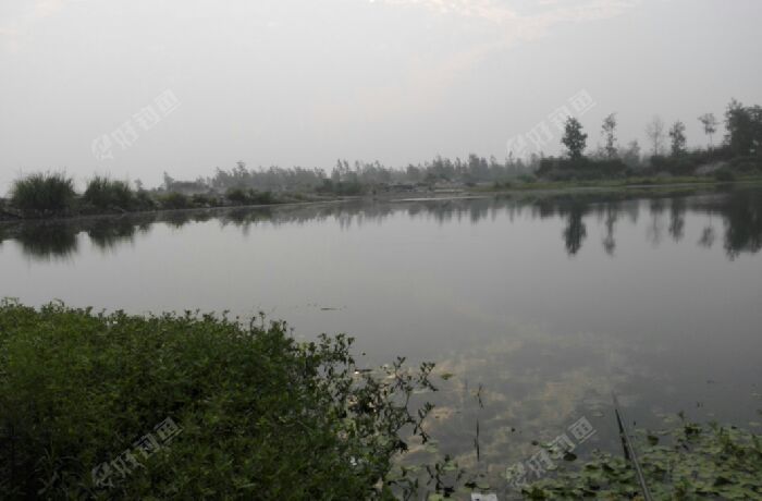 刘集沙坑回水湾