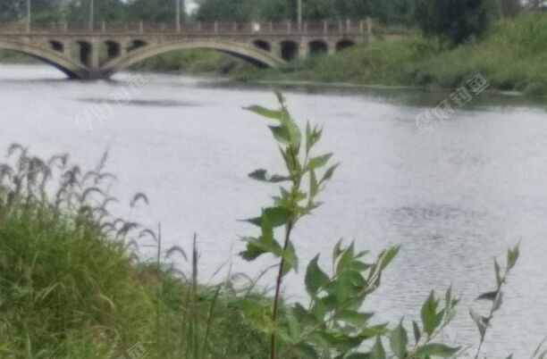 引松钓场新立段