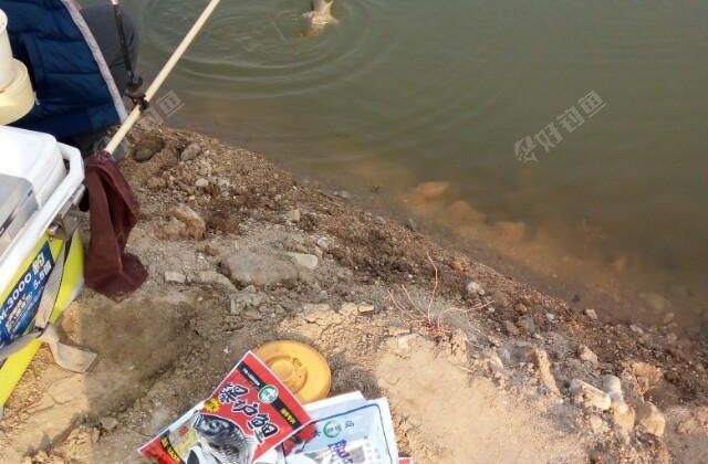 锦拓鱼饵练竿池