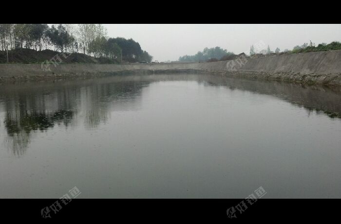 延津天河水产公司