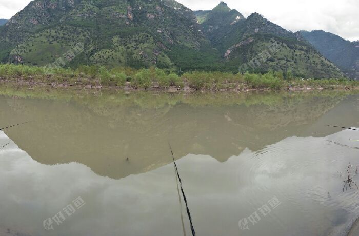 金沙江边和尚庄柳林