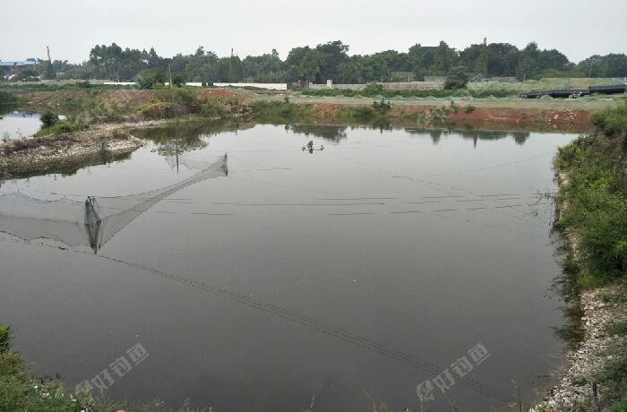 宋店子鱼塘