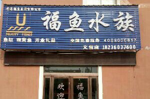 福鱼水族