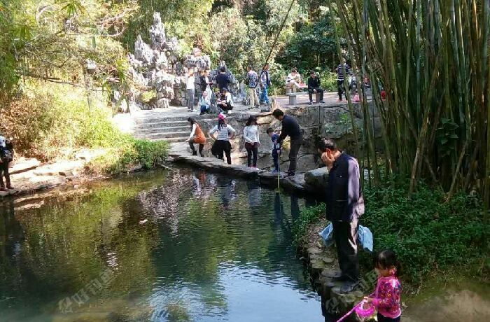 塘厦大屏障公园