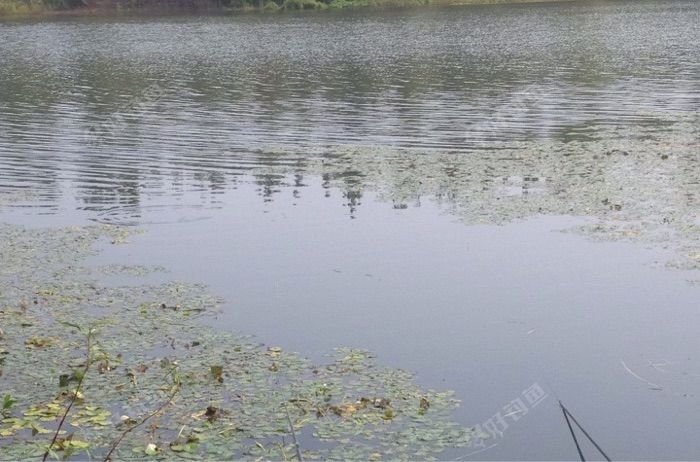 商水县邓城镇夏寨村沙河