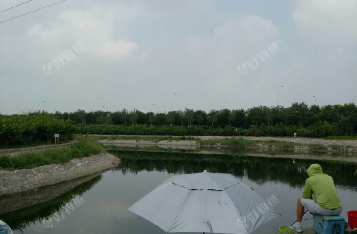 港城大道排污河