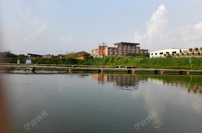 鲁台大白刁钓场