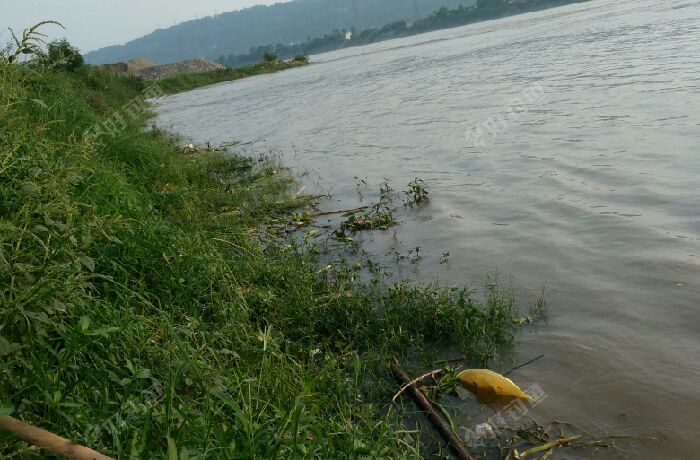 五通桥西坝渡口