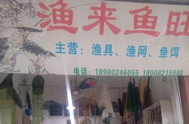 渔来鱼旺