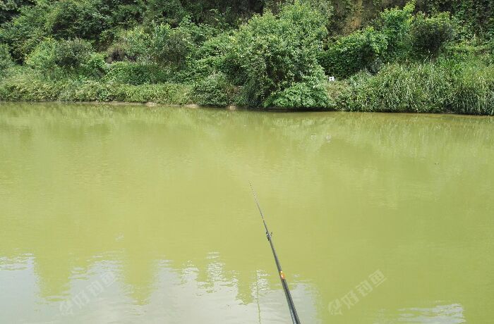 钱家坝鱼塘