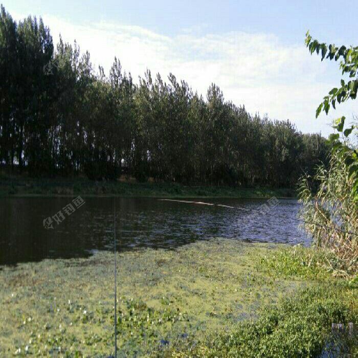 澥河何集大桥段