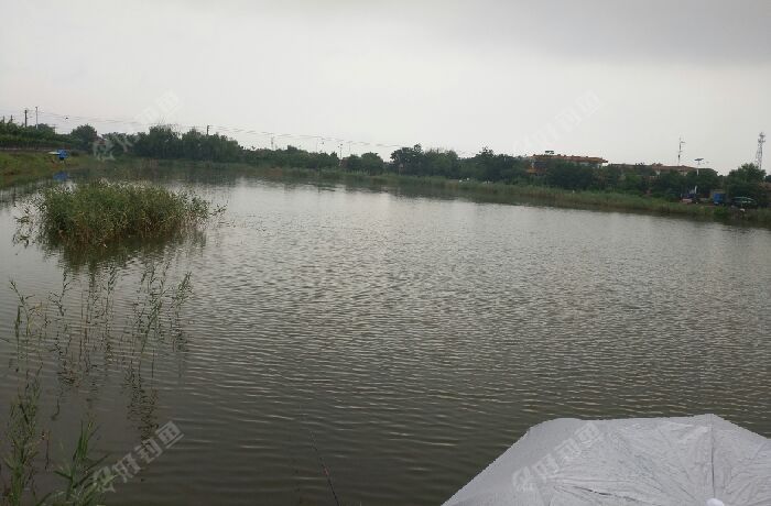 天津大港 西万和