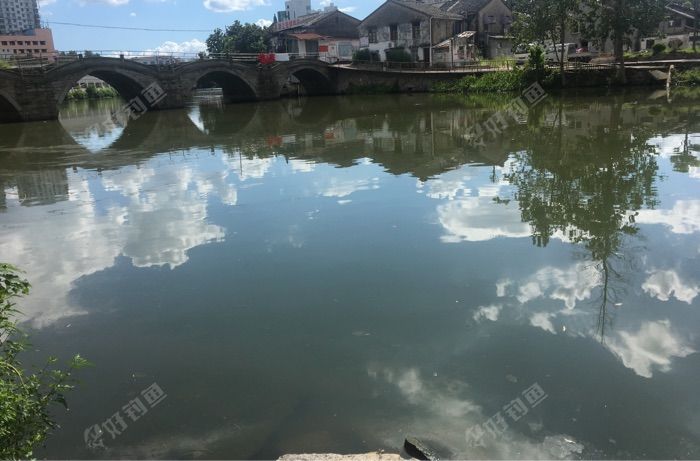 西江五洞桥河段