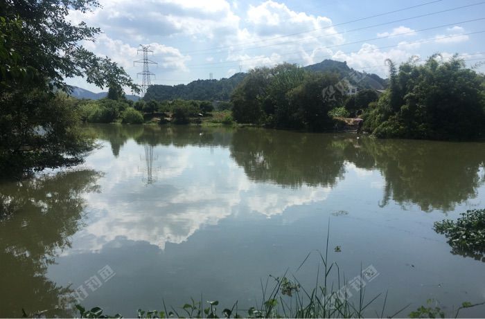 鉴洋湖岘头林村河段