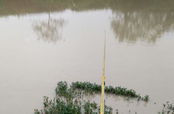 鸭子河上游野河
