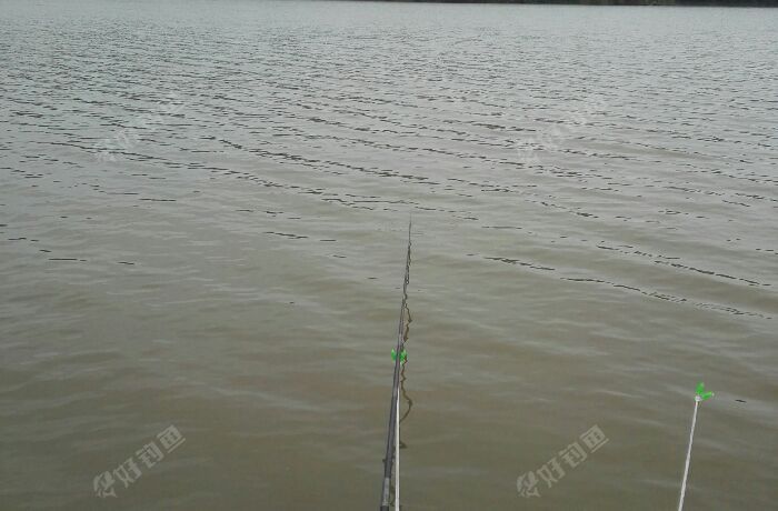 大垸管理区陈家洲