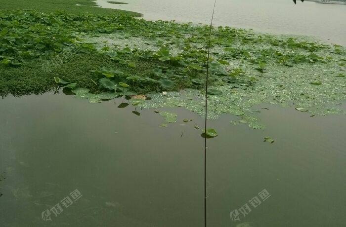 青龙湖龙头西边