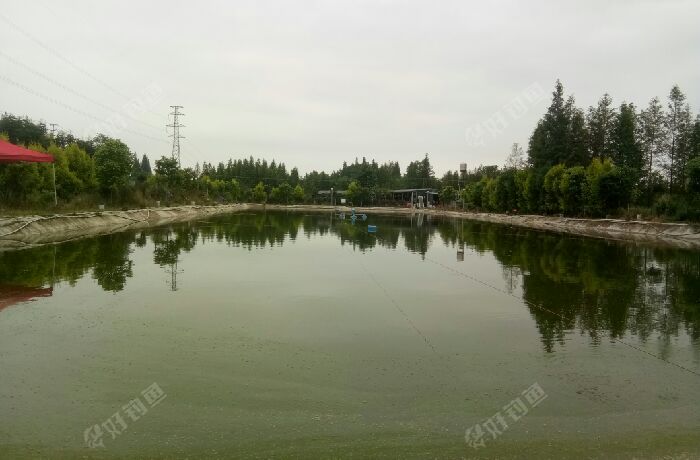 鑫淼园休闲垂钓