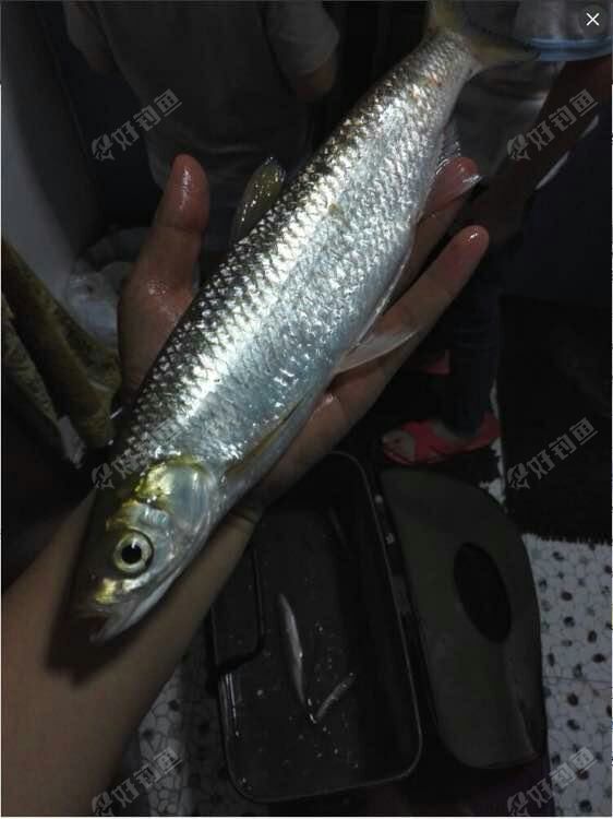 6073c5312e4999ef521d09d18cd7a9d9.jpg 6073c5312e4999ef521d09d18cd7a9d9.jpg