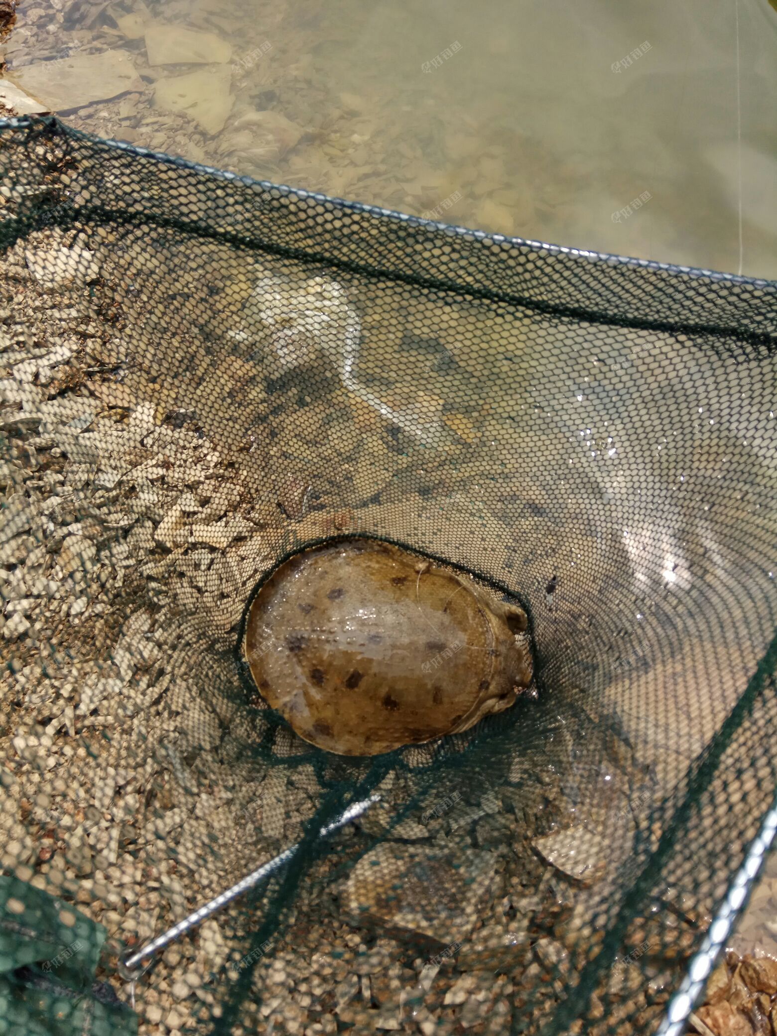 IMG_20170813_142450.jpg IMG_20170813_142450.jpg