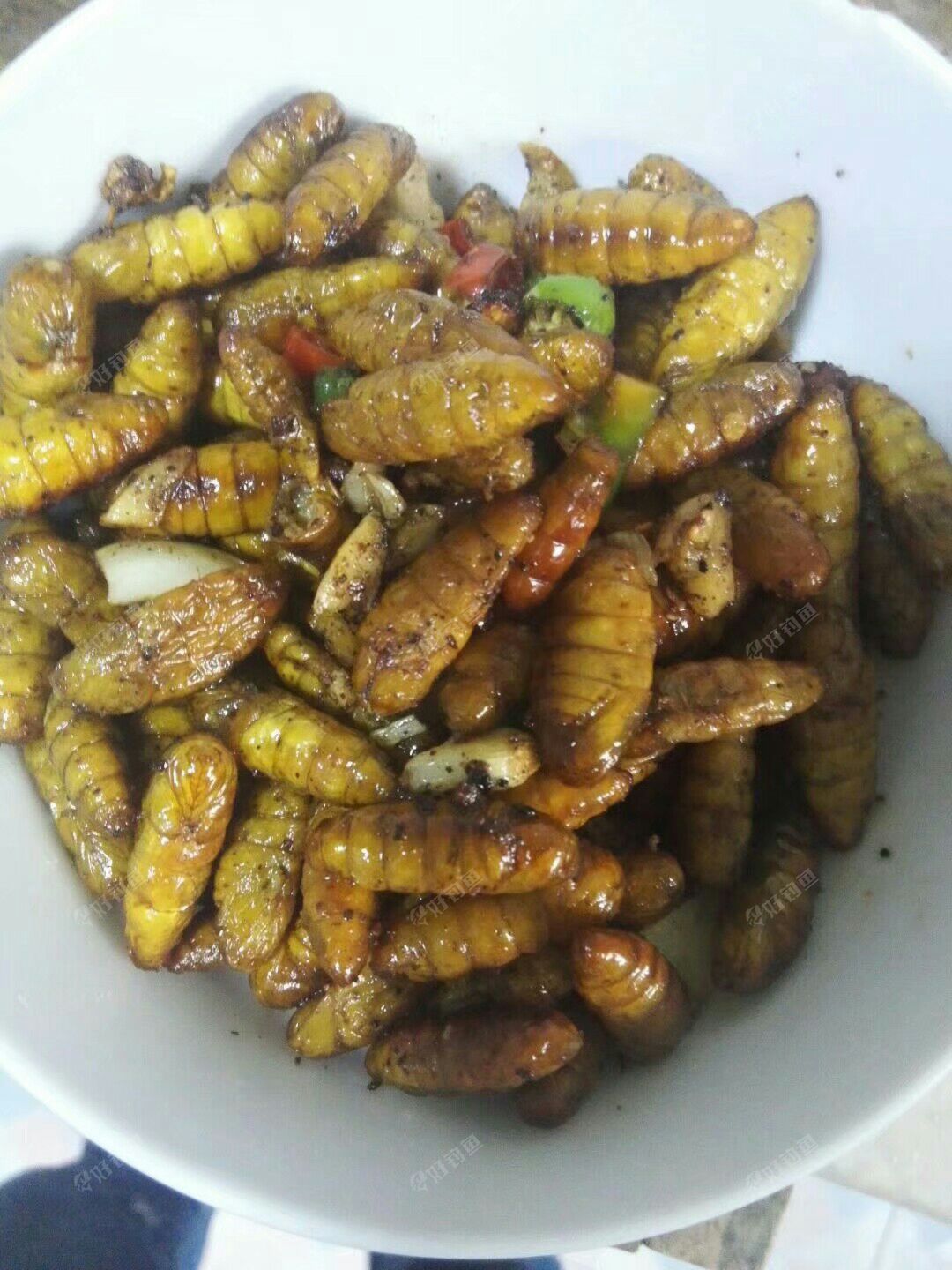 1504343609486.jpeg 1504343609486.jpeg