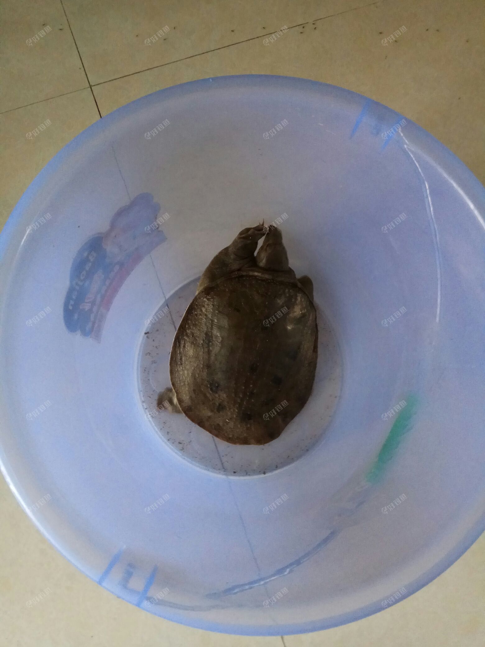 IMG_20170813_160902.jpg IMG_20170813_160902.jpg