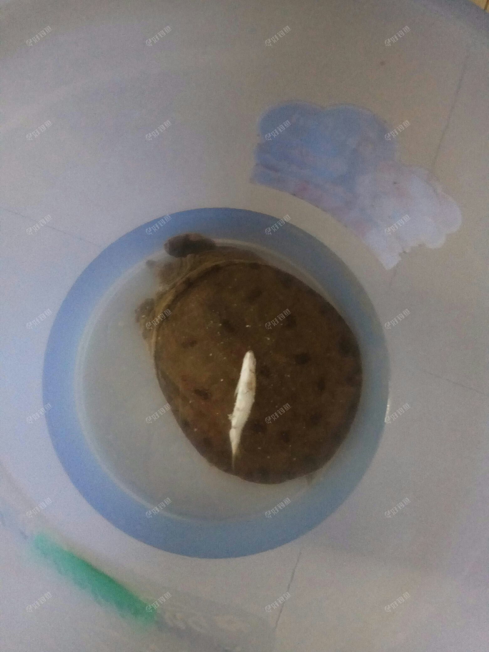 IMG_20170816_172014_BURST5.jpg IMG_20170816_172014_BURST5.jpg