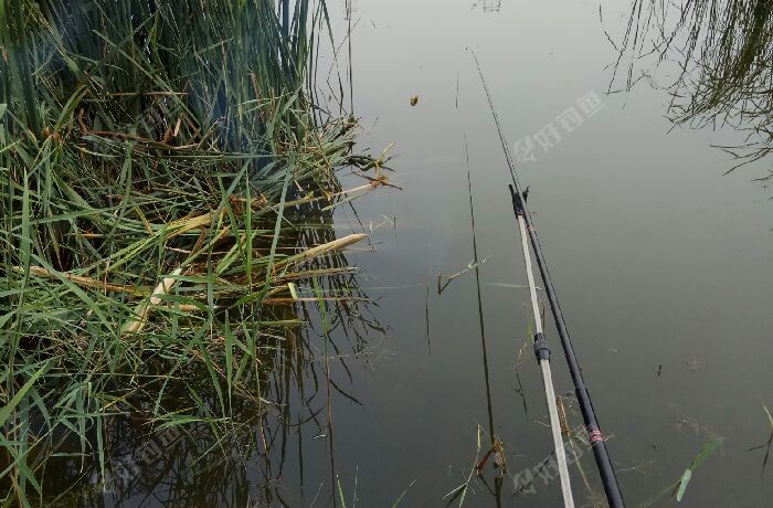 大学街与鸟金路西北角