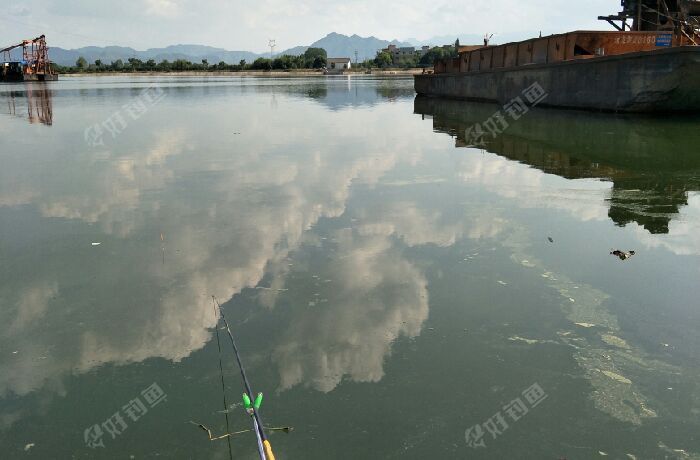 龙丽高速龙兴殿大桥下（水务局旁边）