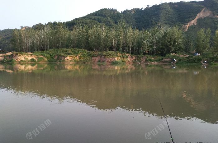 广武桃花裕黄河