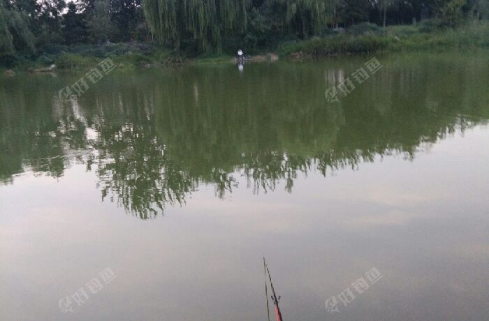 古城西路与植物园街太平河