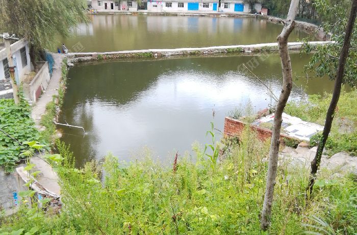 刘姨妈水上人家