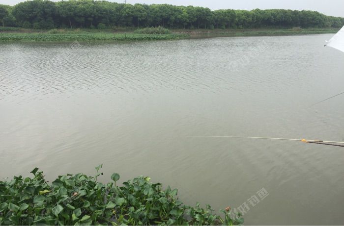 黄埔路高速口钓场