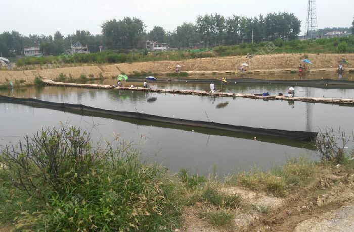 店集戴庄垂钓中心