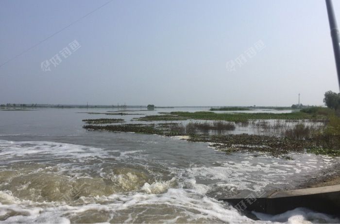 金湖自来水备用水厂