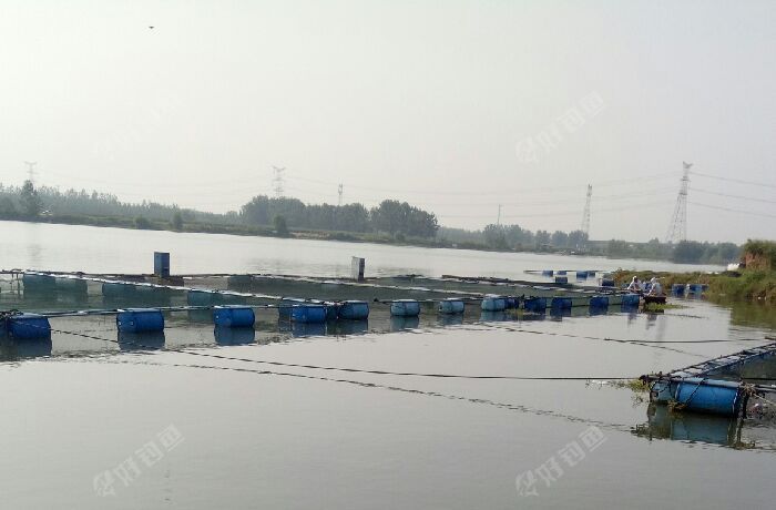 半城窑厂西面大概一公里沂河