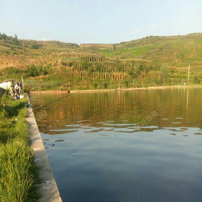 骡马河钓鱼山庄