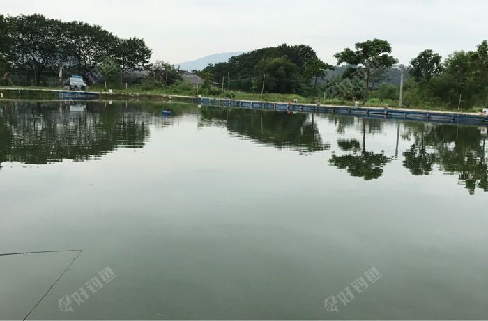 德乐休闲钓鱼场