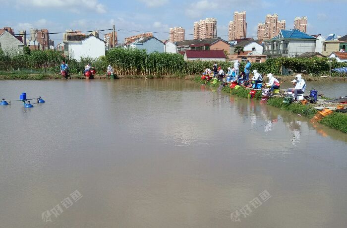 浦东曹路讯建钓场