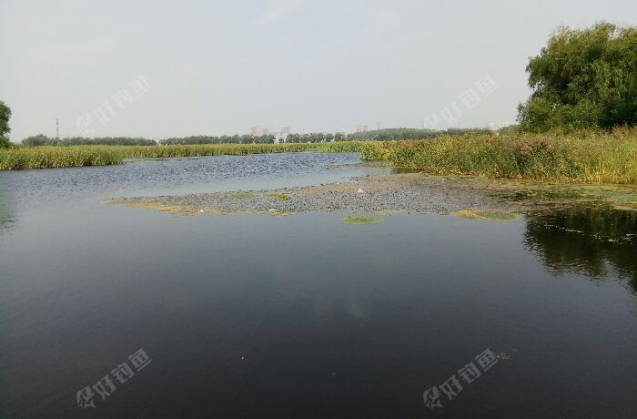 雁鸣湖