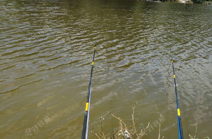 新舟白果庙附近