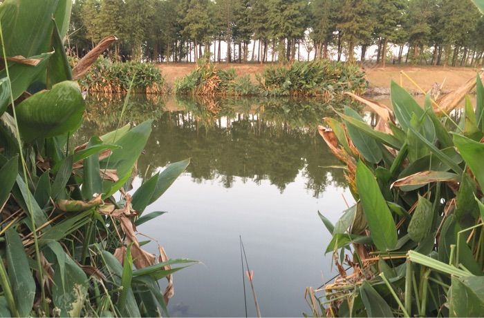 沙溪镇中心广场